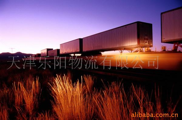 天津传亚国际货运代理有限公司